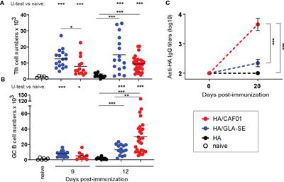 C-type lectin receptor agonists elicit functional IL21-expressing Tfh cells and induce primary B cell responses in neonates